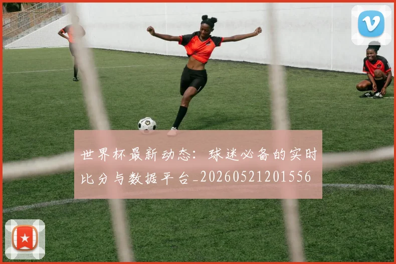 世界杯最新动态：球迷必备的实时比分与数据平台_20260521201556