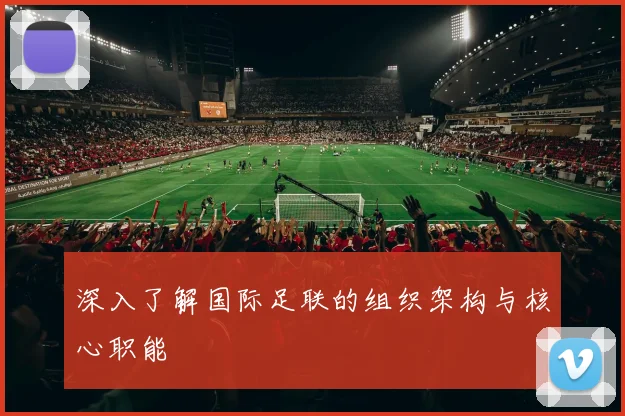 深入了解国际足联的组织架构与核心职能
